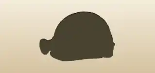 Miner’s Hat