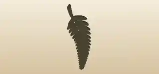 Fern