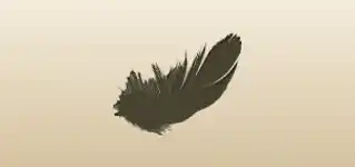 鳥の羽のシルエット