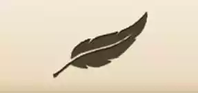 鳥の羽のシルエット