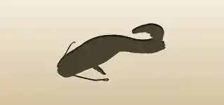 ナマズのシルエット