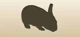 うさぎのシルエット
