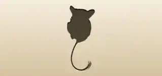 メガネザルのシルエット