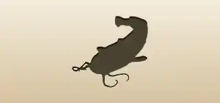 ナマズのシルエット