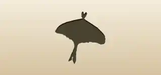 蛾のシルエット