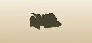 ブドウのシルエット