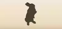 うさぎのシルエット