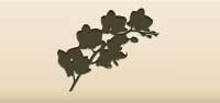 Orchid silhouette