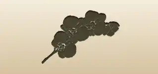 蘭のシルエット