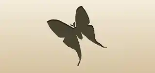蛾のシルエット