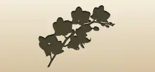 蘭のシルエット