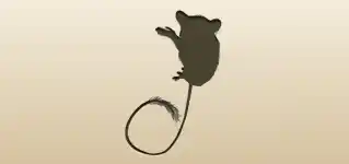 メガネザルのシルエット