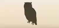 フクロウのシルエット