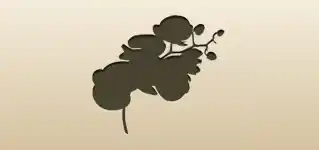 蘭のシルエット