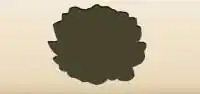Chrysanthemum