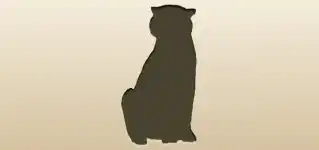 White Tiger