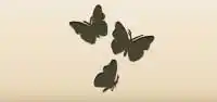 Butterflies