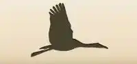 ツルのシルエット