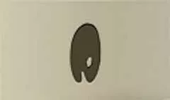 パレットのシルエット