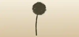 タンポポ