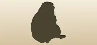 マーモット
