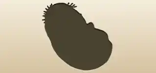 ひよこ