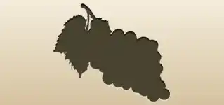 ブドウ