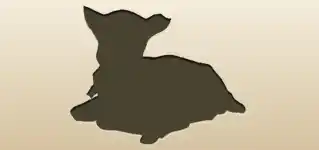 仔山羊