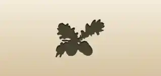 Acorns silhouette