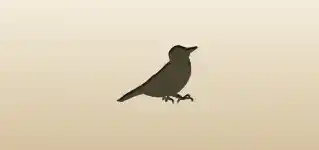 Woodpecker silhouette