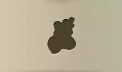 ドングリ
