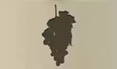 ブドウ