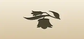Bluebell silhouette