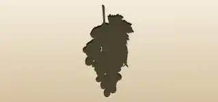 Grapes silhouette