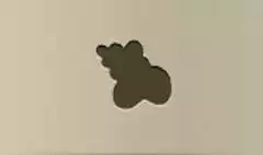 ドングリ