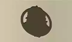 森のニンフ