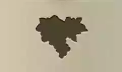 ブドウ