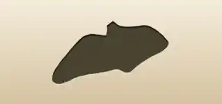 Lady’s Shoe silhouette