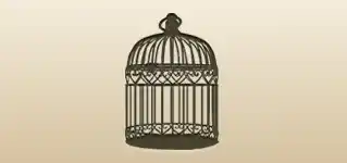 Birdcage silhouette