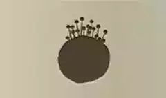 ピンクッション