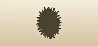 Sun silhouette