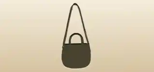 Handbag silhouette