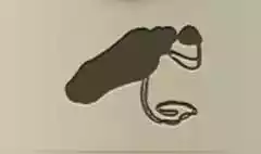 薬瓶