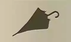 かさ