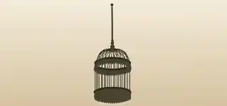 Birdcage silhouette
