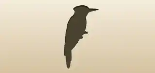 Woodpecker silhouette
