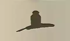 インク壺