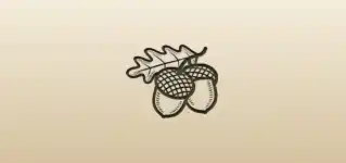 Acorns silhouette