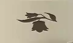 ブルーベルの花