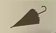 かさ